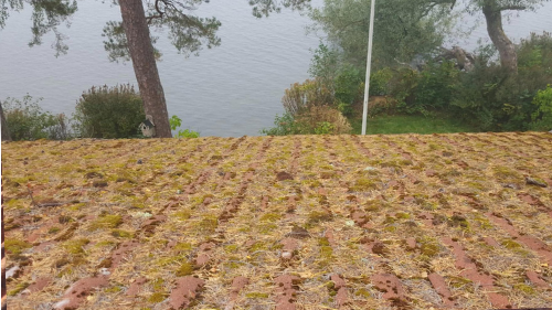 Tak före behandling