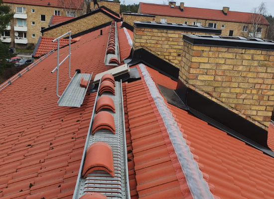 rott_nocknand-550x700