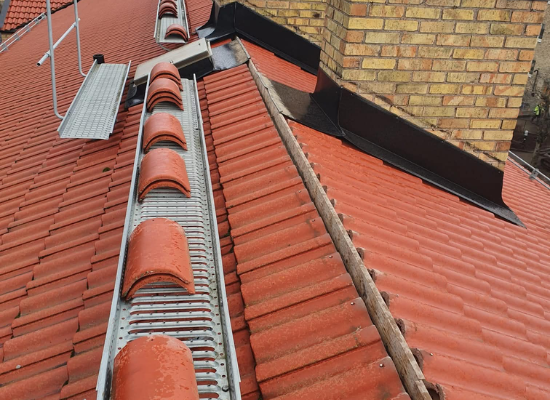 rott_utan_nocknand-550x700